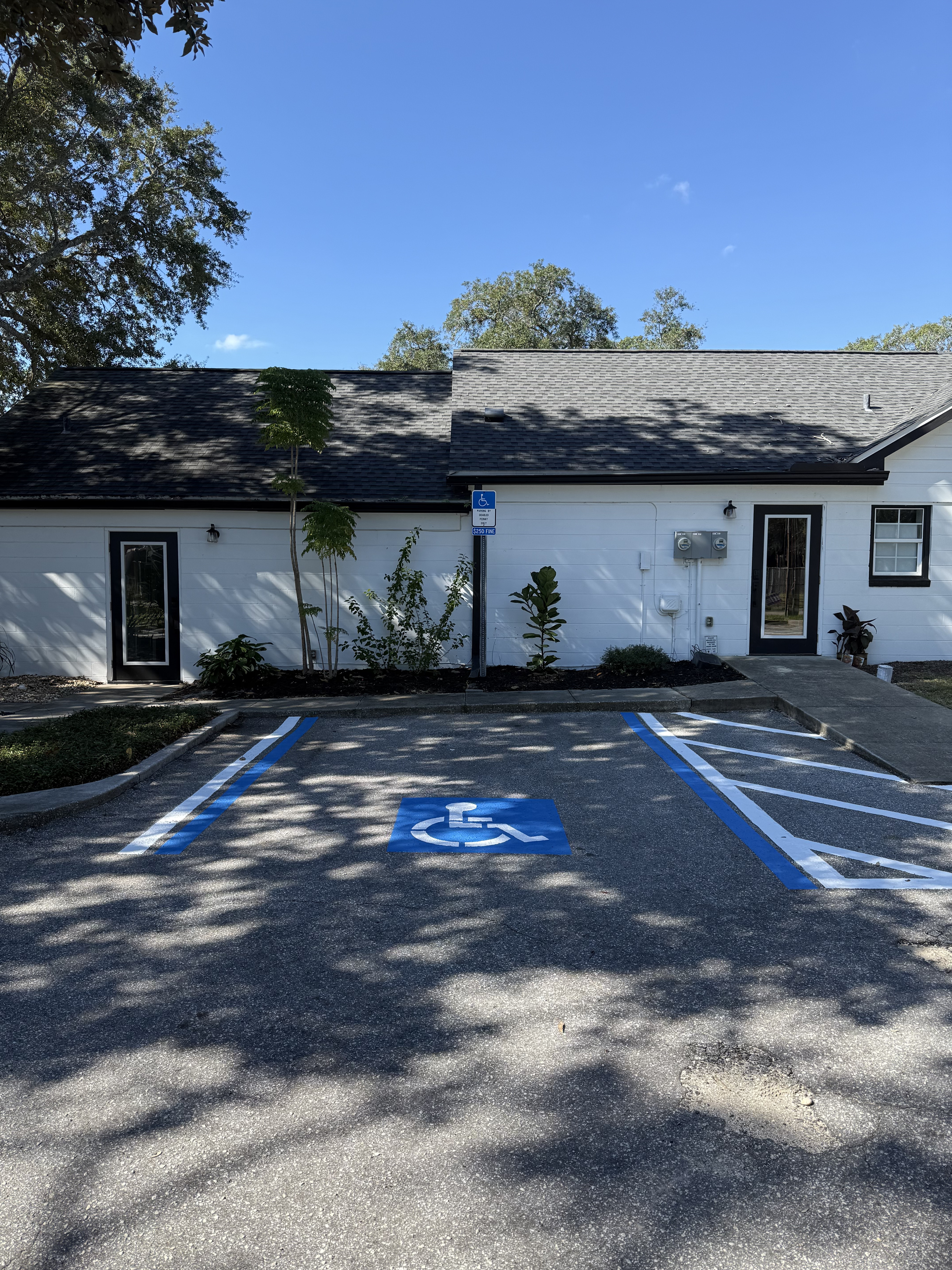 Professional pavement marking